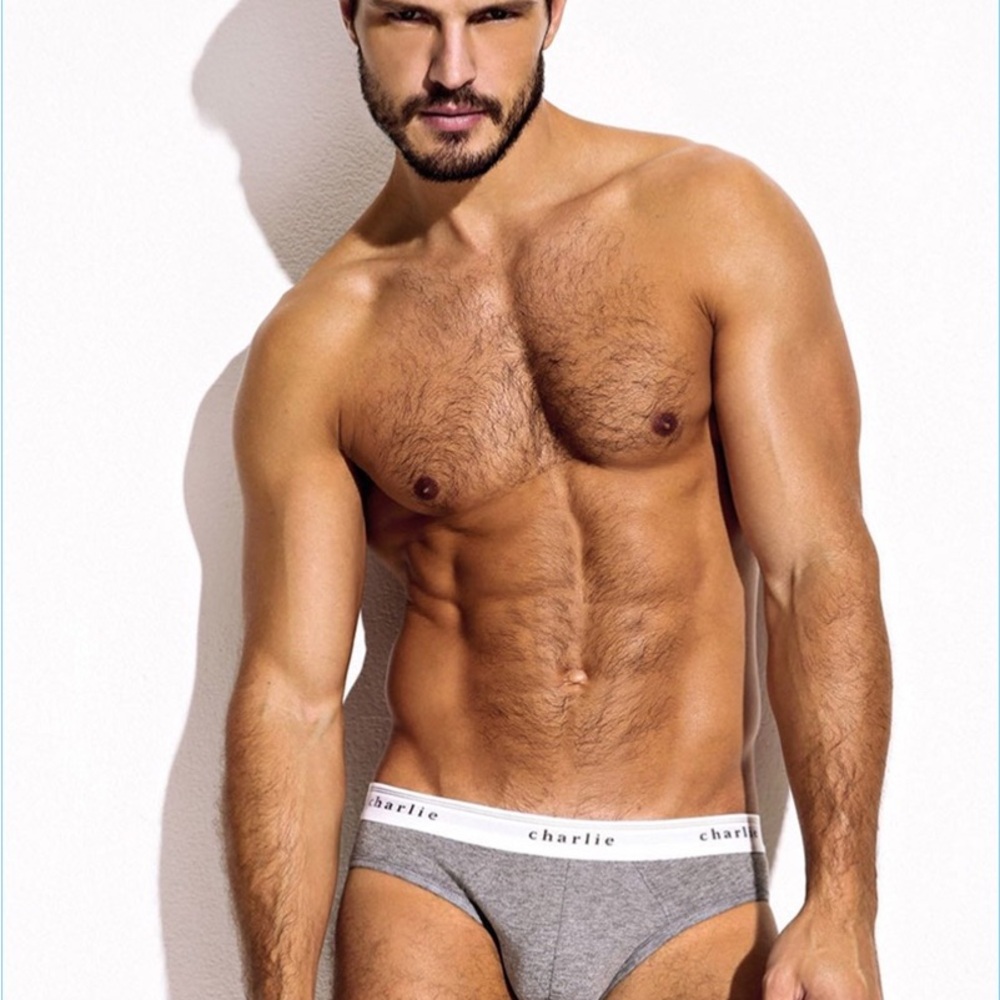 Charlie by Matthew Zink Gray Classic Logo Brief.  Size M.  NWT